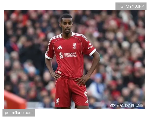 利物浦伤病问题持续显现，对争冠形势逐步产生影响，当前赛季稳定性面临考验