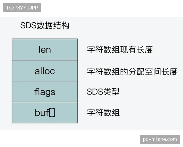 什么是24秒违例？看完这篇新手也能快速搞懂！